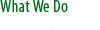 What We Do